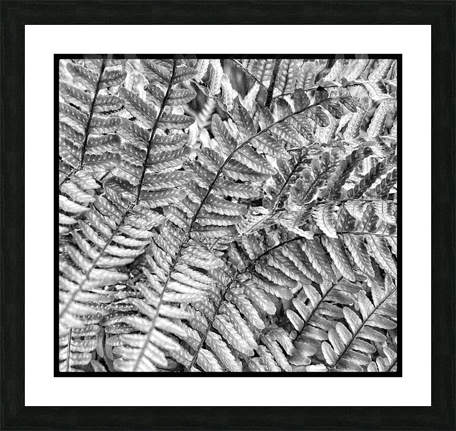 V1289 Picture Frame print