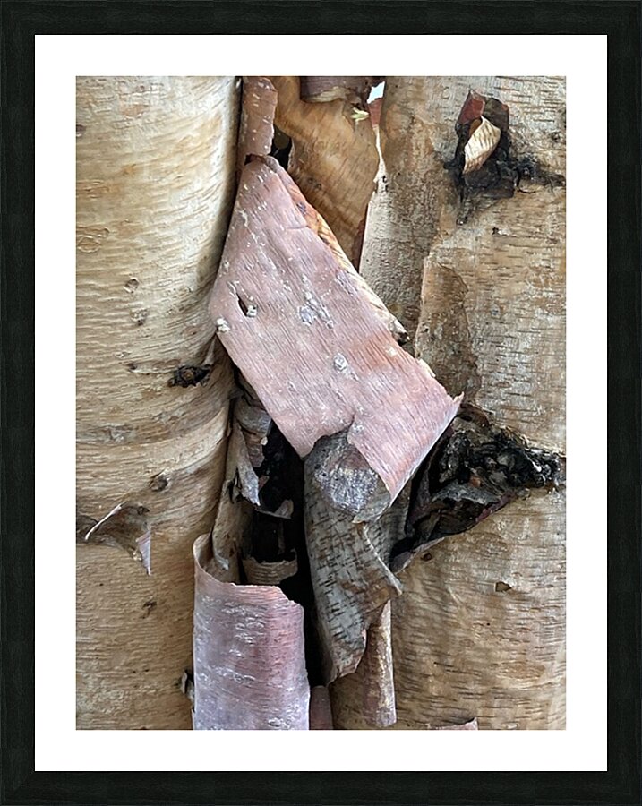 V1290 Picture Frame print