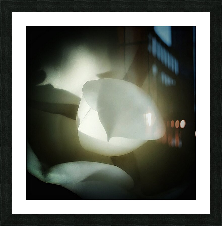 V1291 Picture Frame print