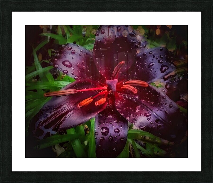 V1292 Picture Frame print