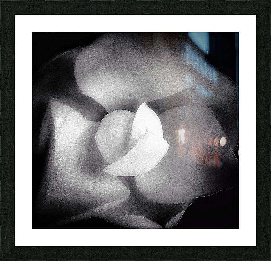 V1293 Picture Frame print
