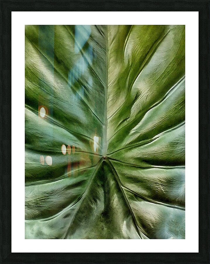 V1294 Picture Frame print