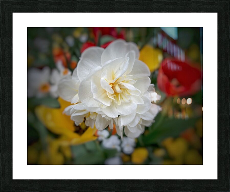 V1296 Picture Frame print