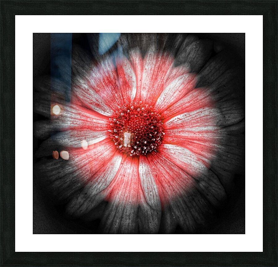 V1297 Picture Frame print