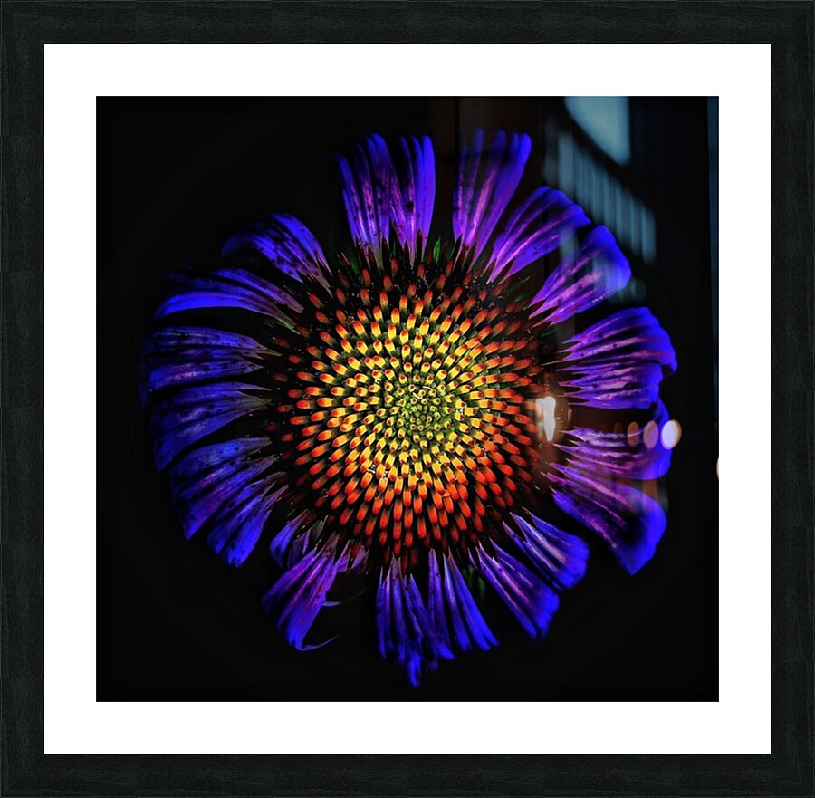 V1298 Picture Frame print