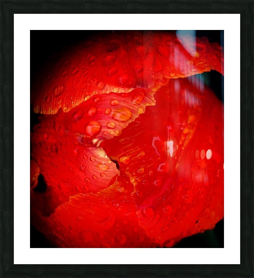 V1299 Picture Frame print