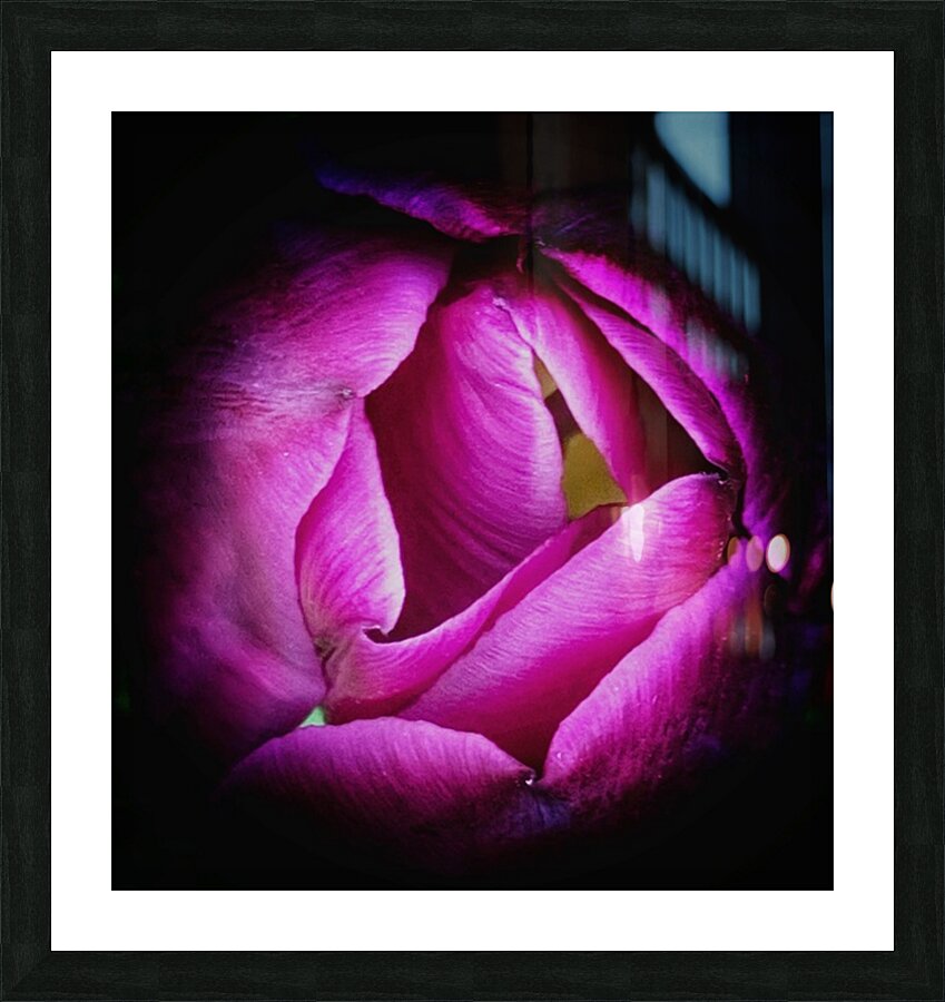 V1300 Picture Frame print