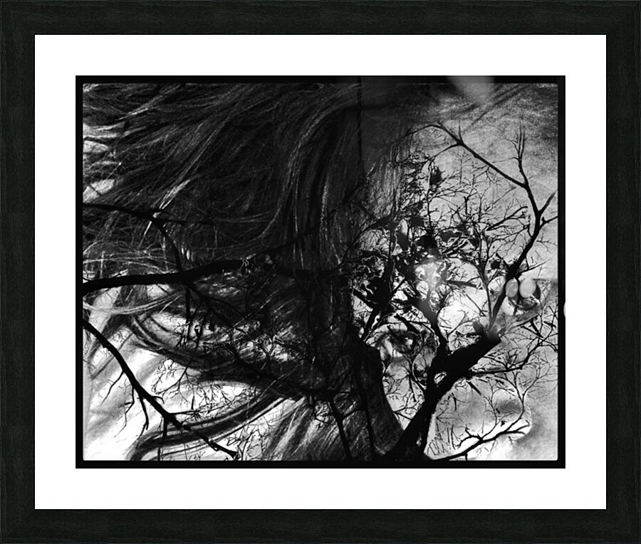 V1318 Picture Frame print