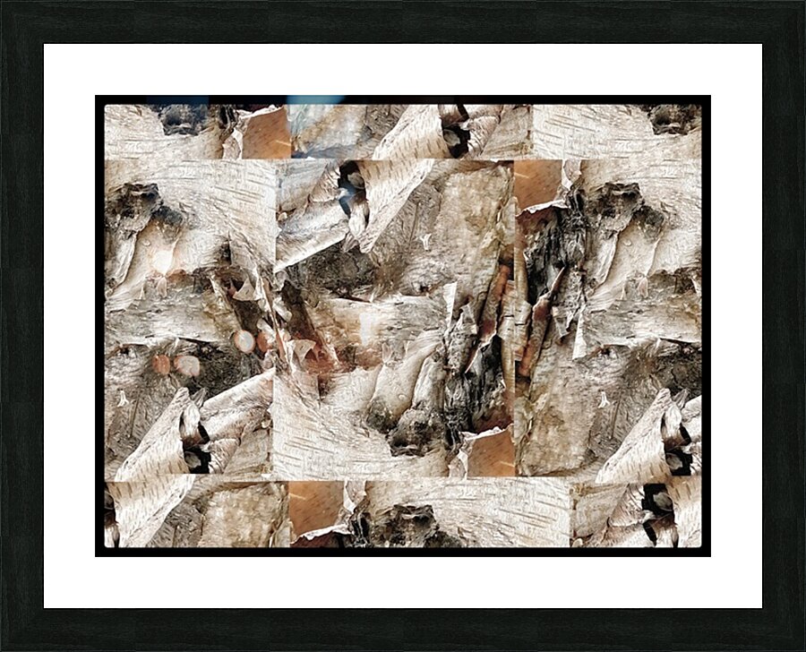 V1325 Picture Frame print