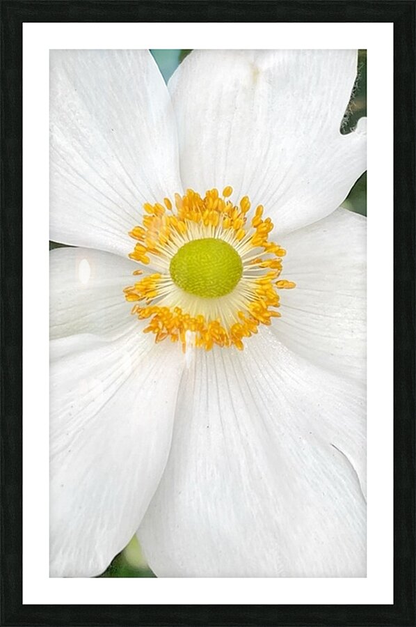 V1326 Picture Frame print