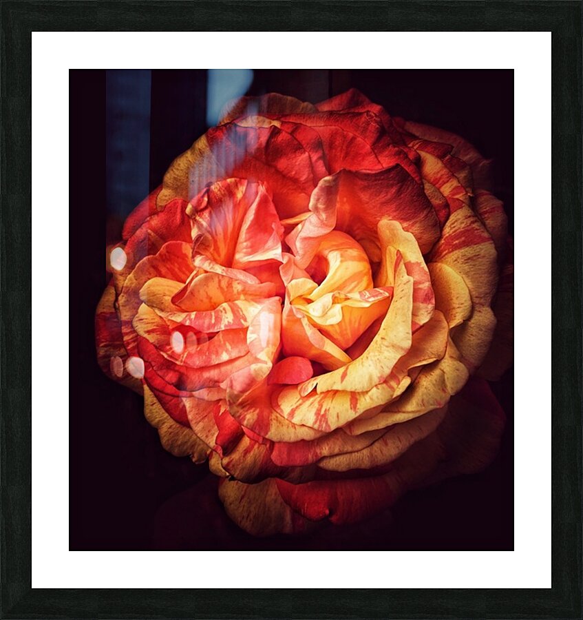V1327 Picture Frame print