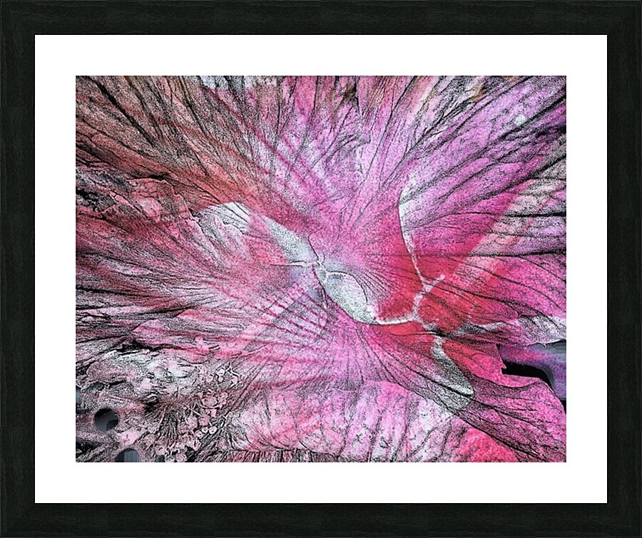 V1329 Picture Frame print