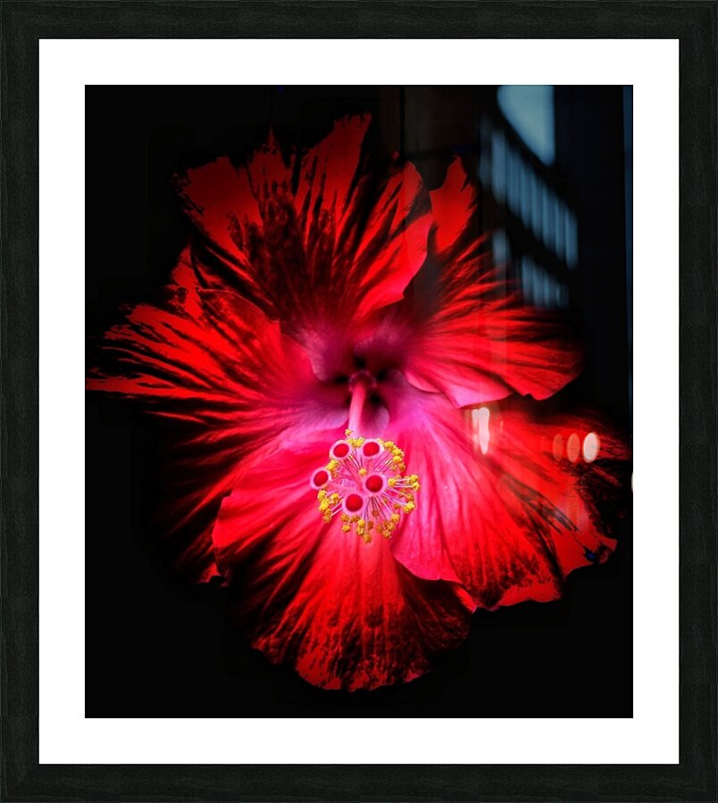 V1332 Picture Frame print
