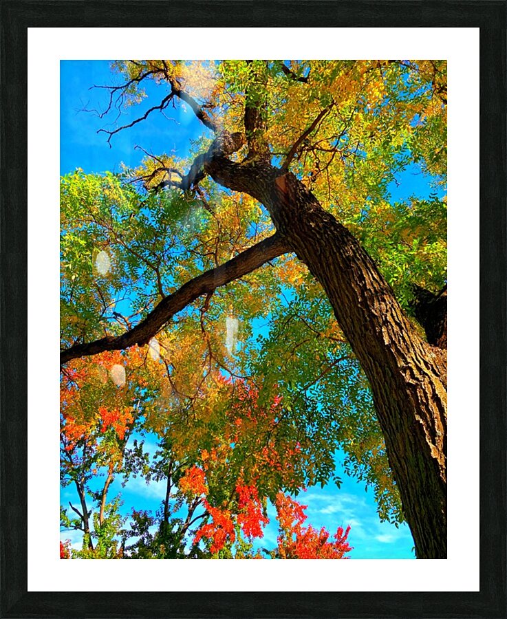 V1333 Picture Frame print