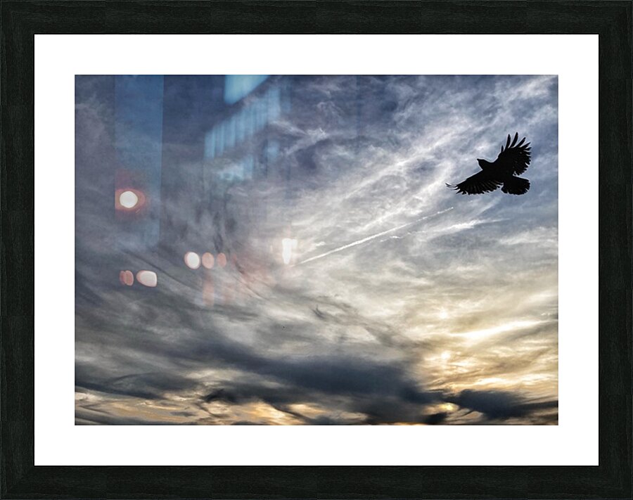 V1338 Picture Frame print