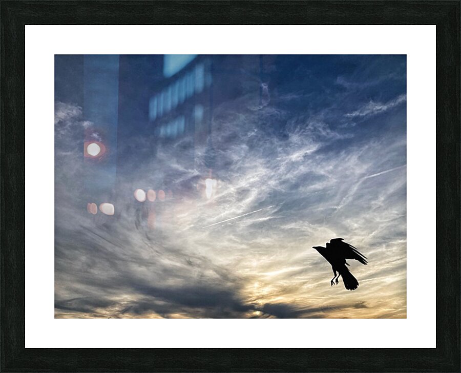 V1339 Picture Frame print