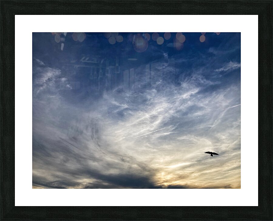 V1340 Picture Frame print