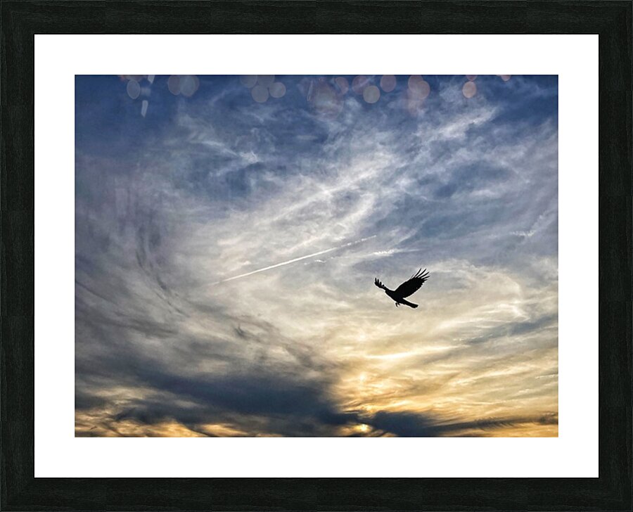 V1341 Picture Frame print