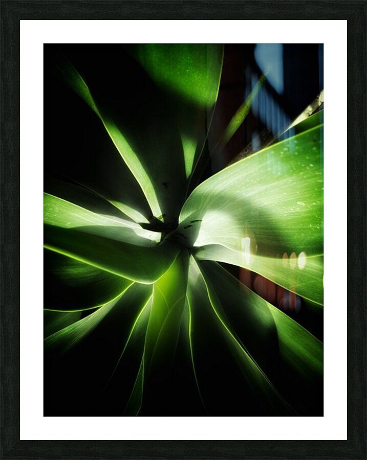 V1347 Picture Frame print