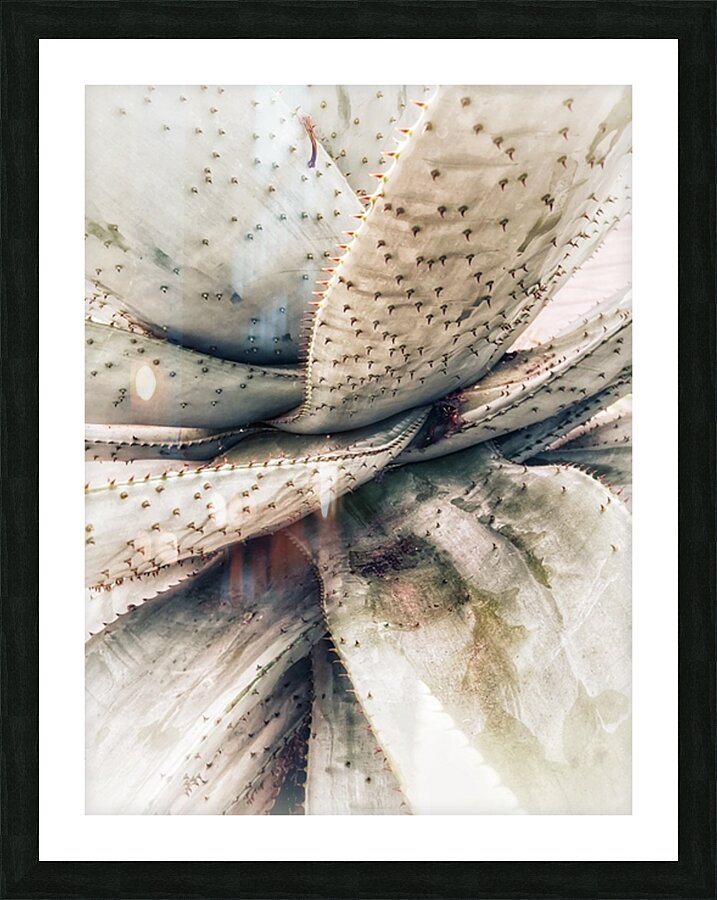 V1349 Picture Frame print