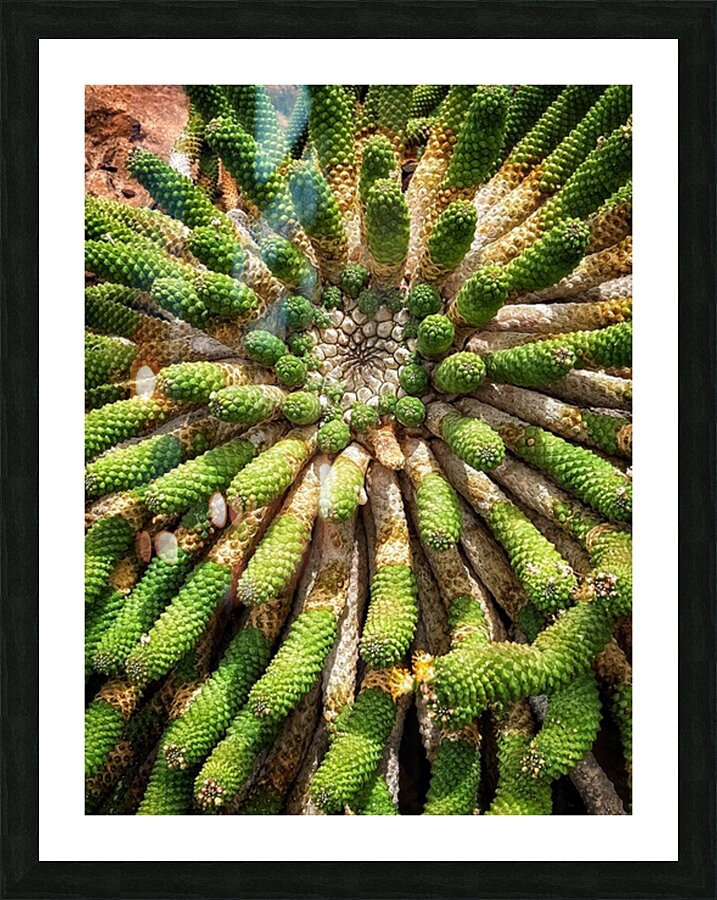V1351 Picture Frame print