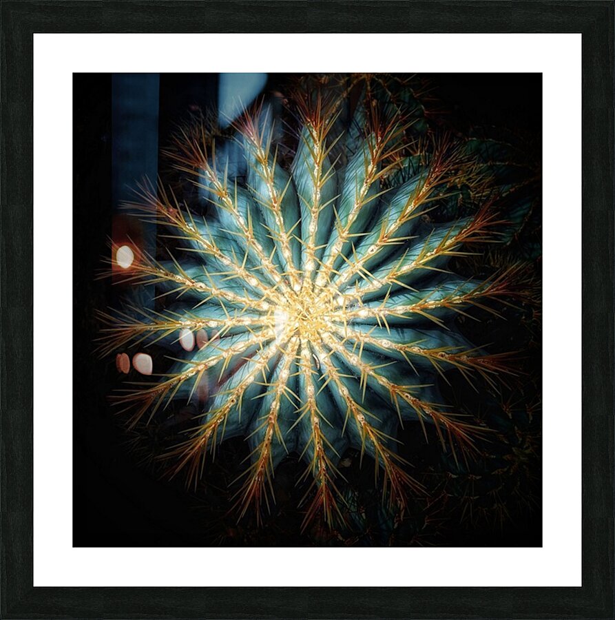V1356 Picture Frame print