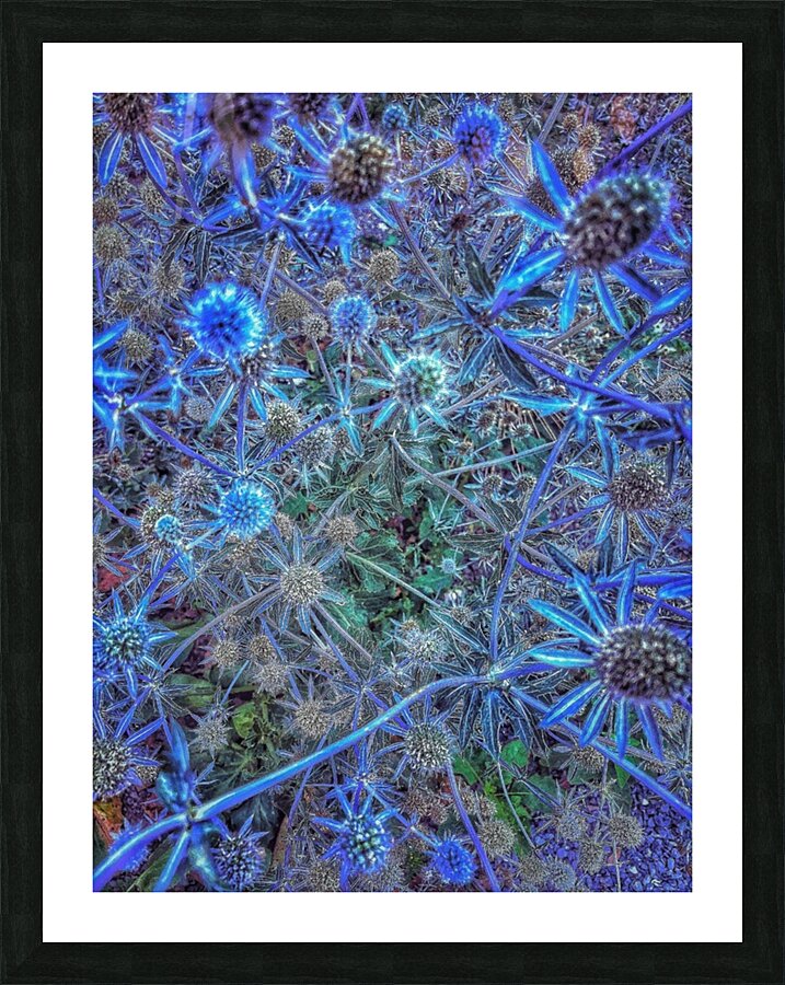 V1360 Picture Frame print