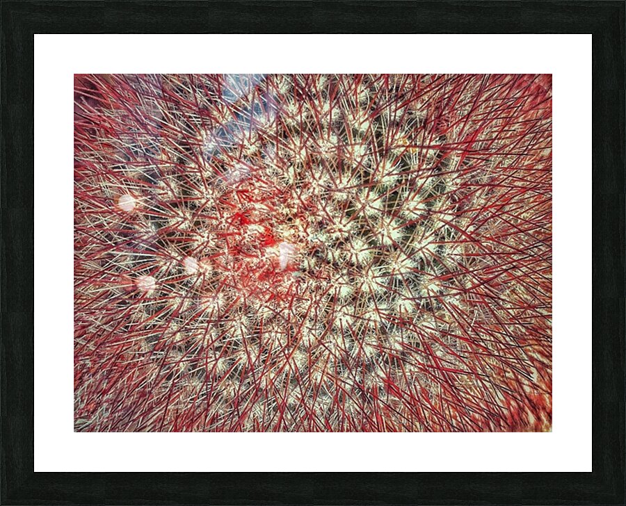 V1362 Picture Frame print