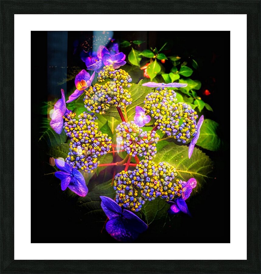 V1363 Picture Frame print