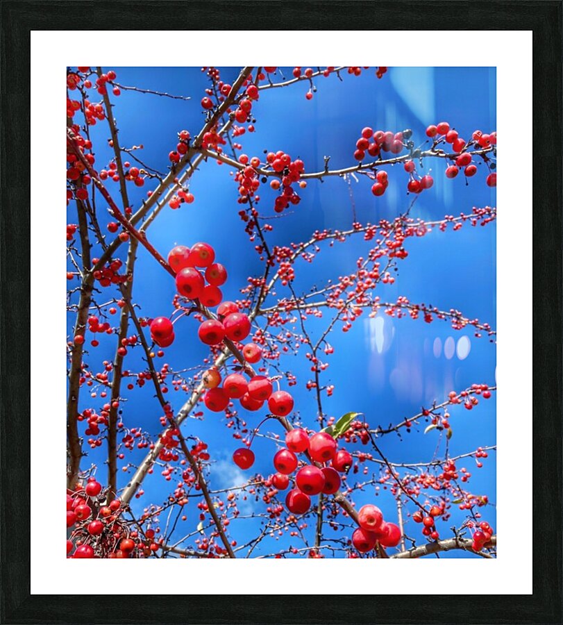 V1364 Picture Frame print