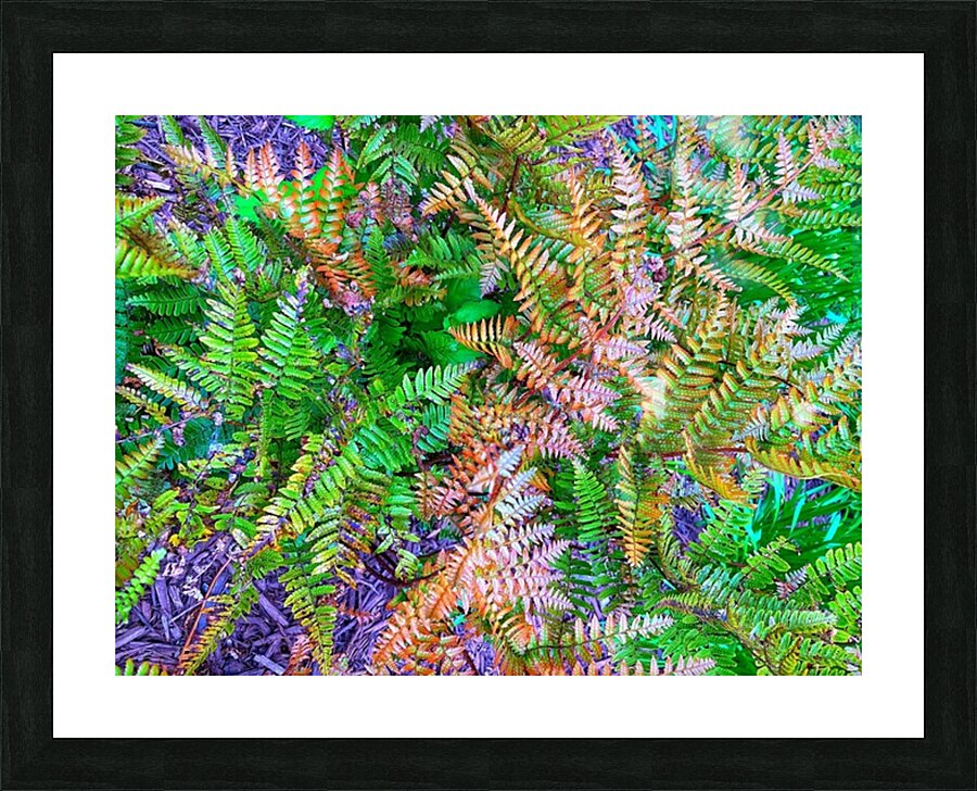 F1365 Picture Frame print