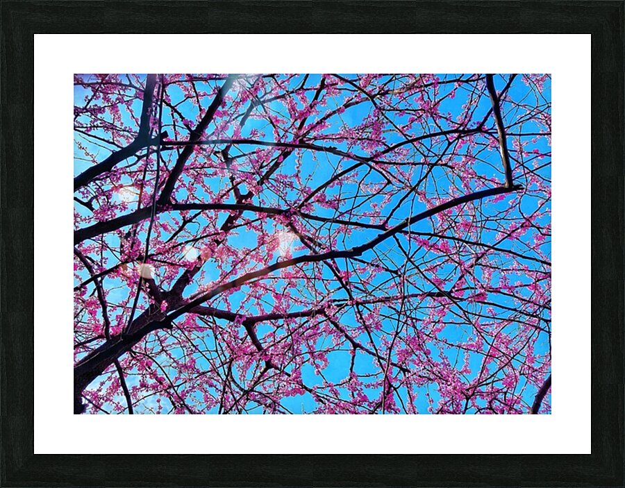 V1368 Picture Frame print