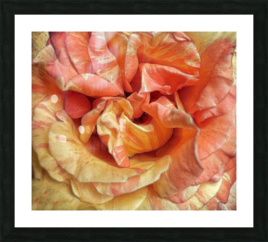 V1371 Picture Frame print