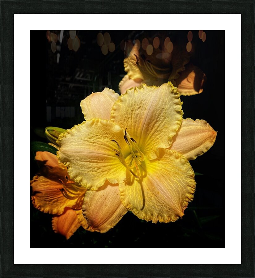 V1372 Picture Frame print