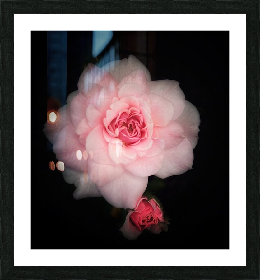 V1374 Picture Frame print