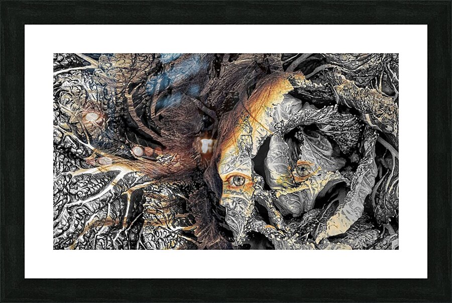 V1378 Picture Frame print