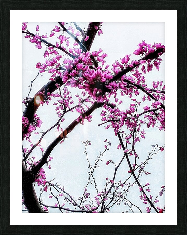 V1385 Picture Frame print