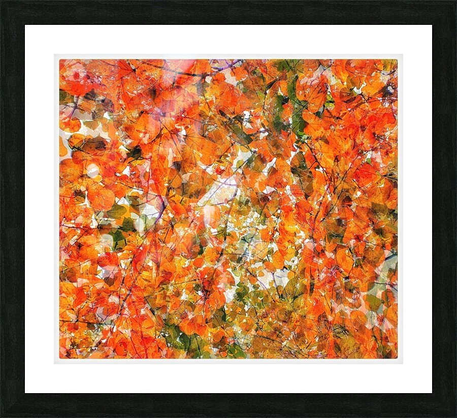 V1387 Picture Frame print