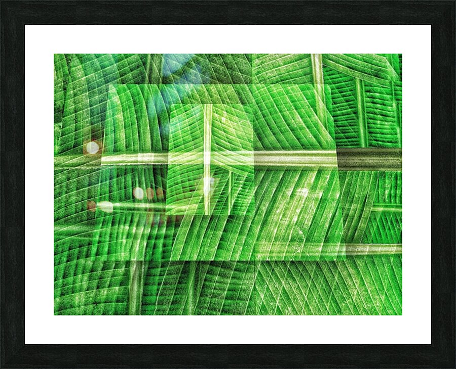 V1393 Picture Frame print