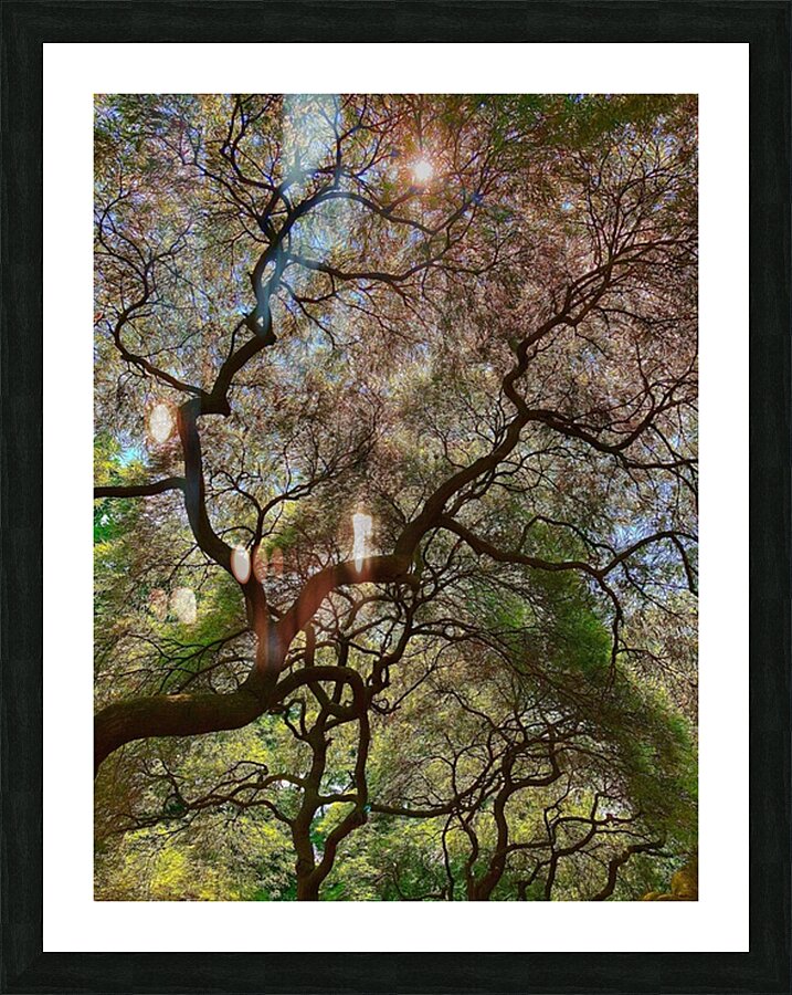 V1395 Picture Frame print