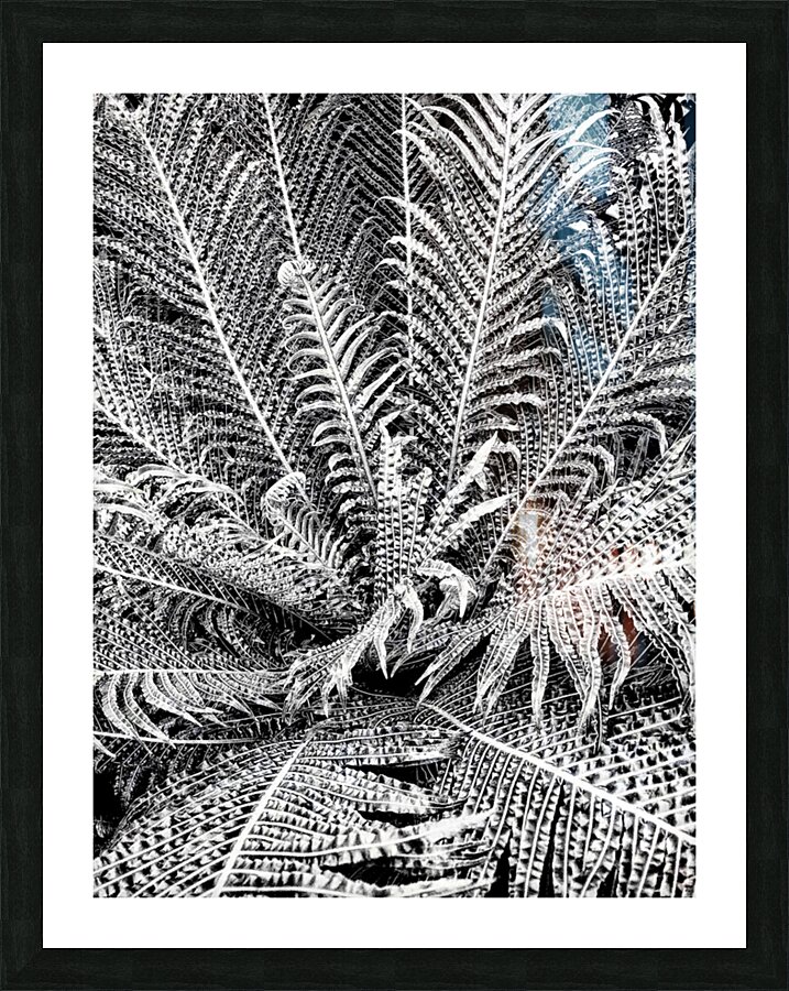 V1396 Picture Frame print