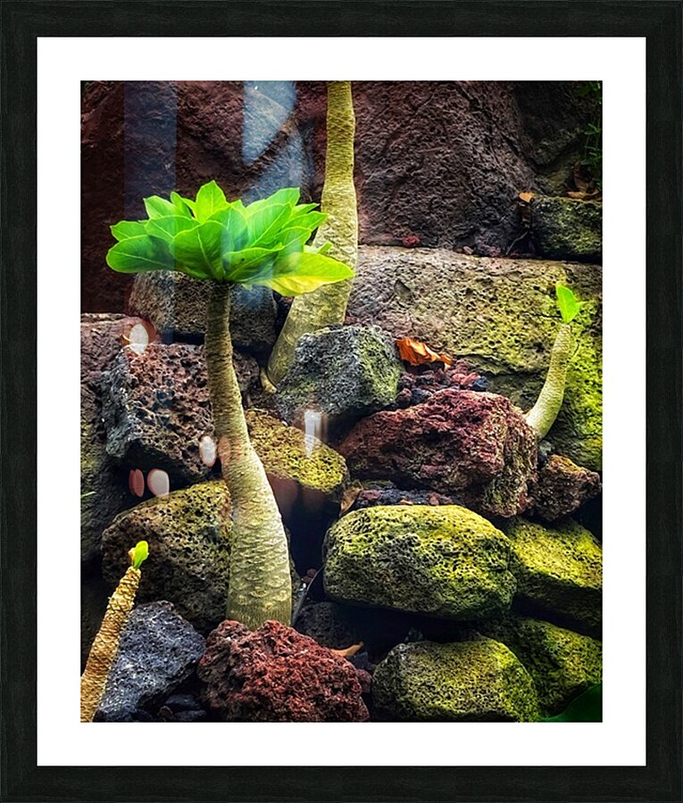 V1398 Picture Frame print