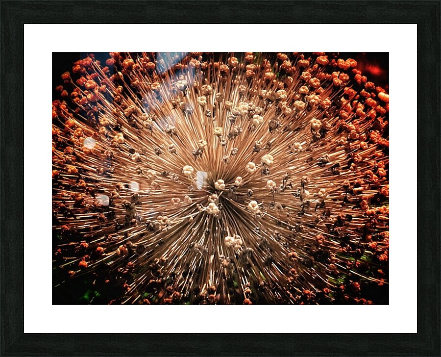 V1402 Picture Frame print