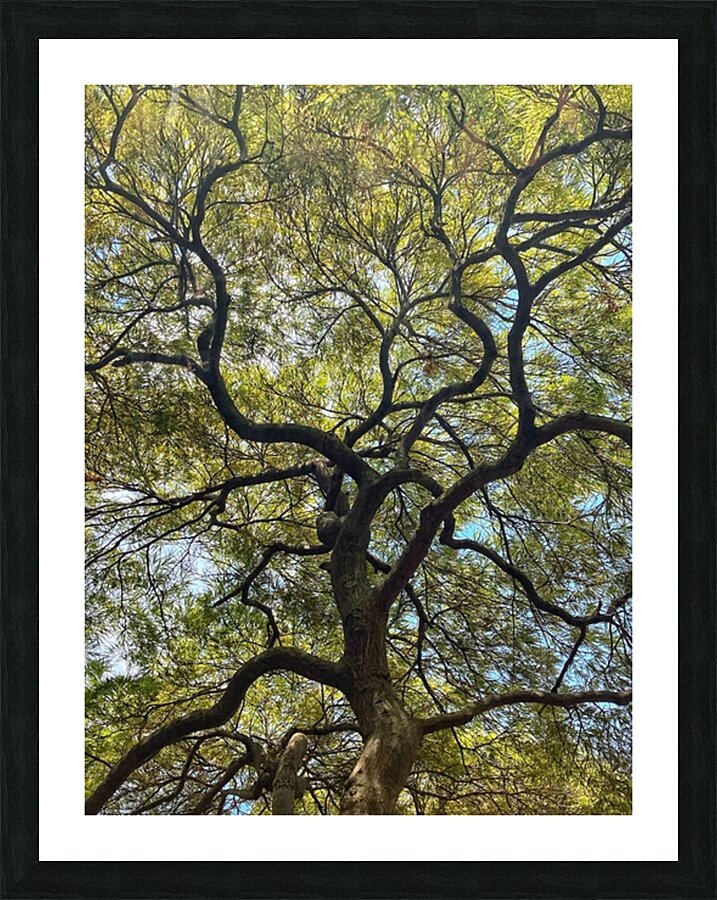 V1405 Picture Frame print