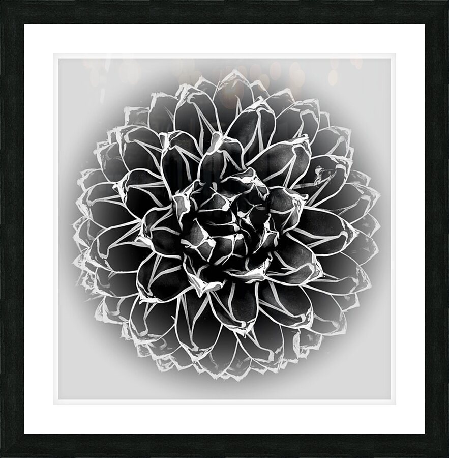 V1438 Picture Frame print
