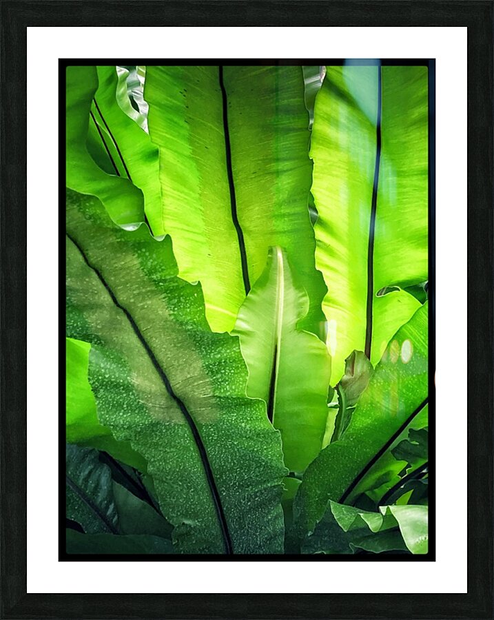 V1441 Picture Frame print