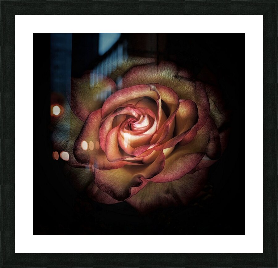 V1444 Picture Frame print