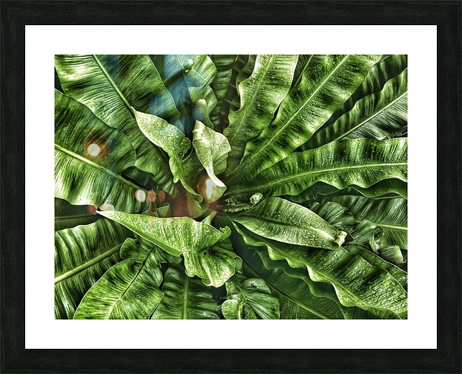 V1452 Picture Frame print