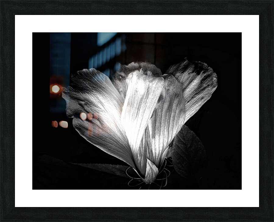 V1453 Picture Frame print