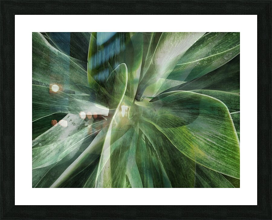 V1454 Picture Frame print